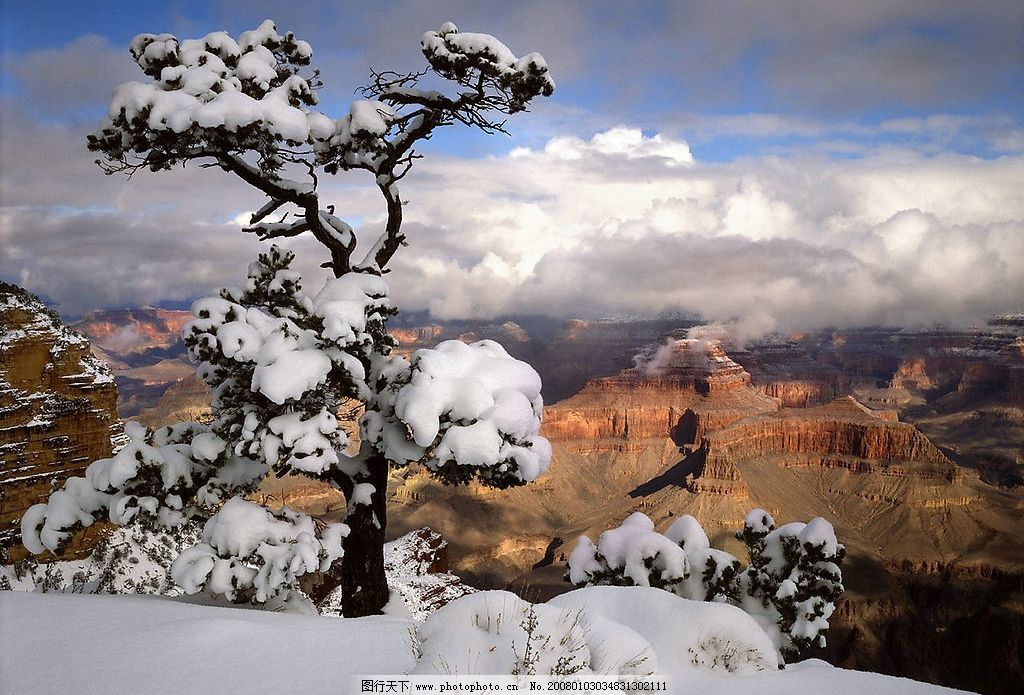 雪景121 风光图 风景 风景图 树林 太阳 阳光 夕阳 晨曦