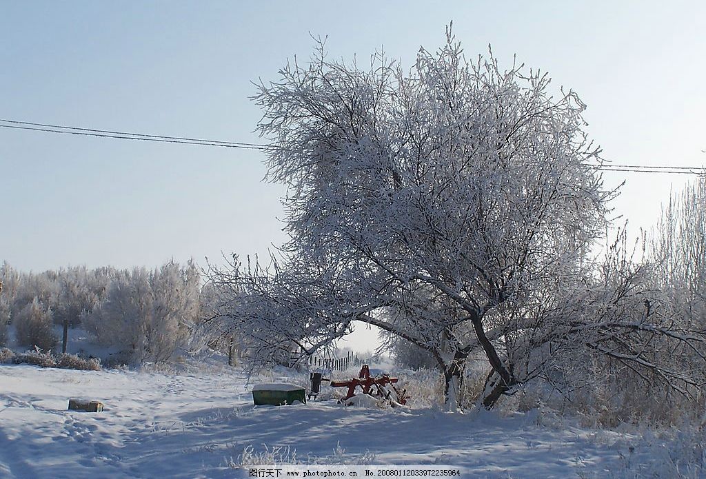 新疆奇台雪景图片,旅游摄影 国内旅游 印象无锡