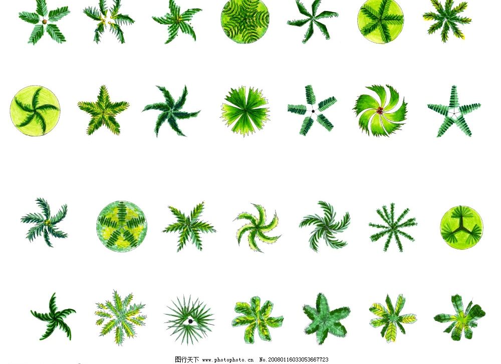 树木平面素材 平面图 园林 绿化 园林设计 园林素材 植物 源文件库