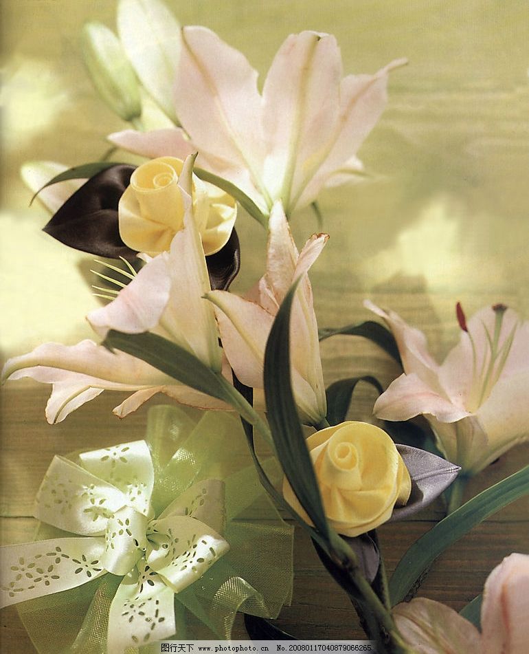 百合花的折法_百合花的特点