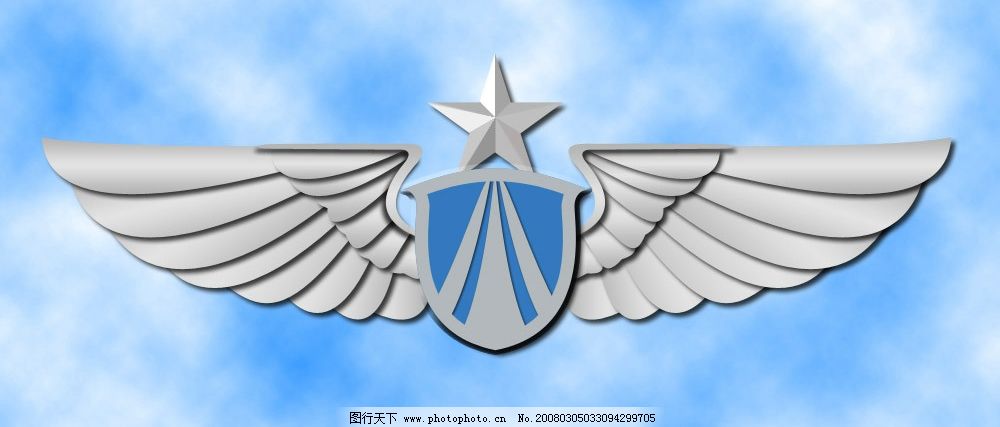 空军胸标 手绘 矢量 源文件库
