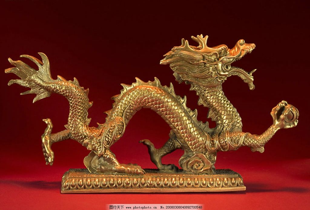 金龙图片
