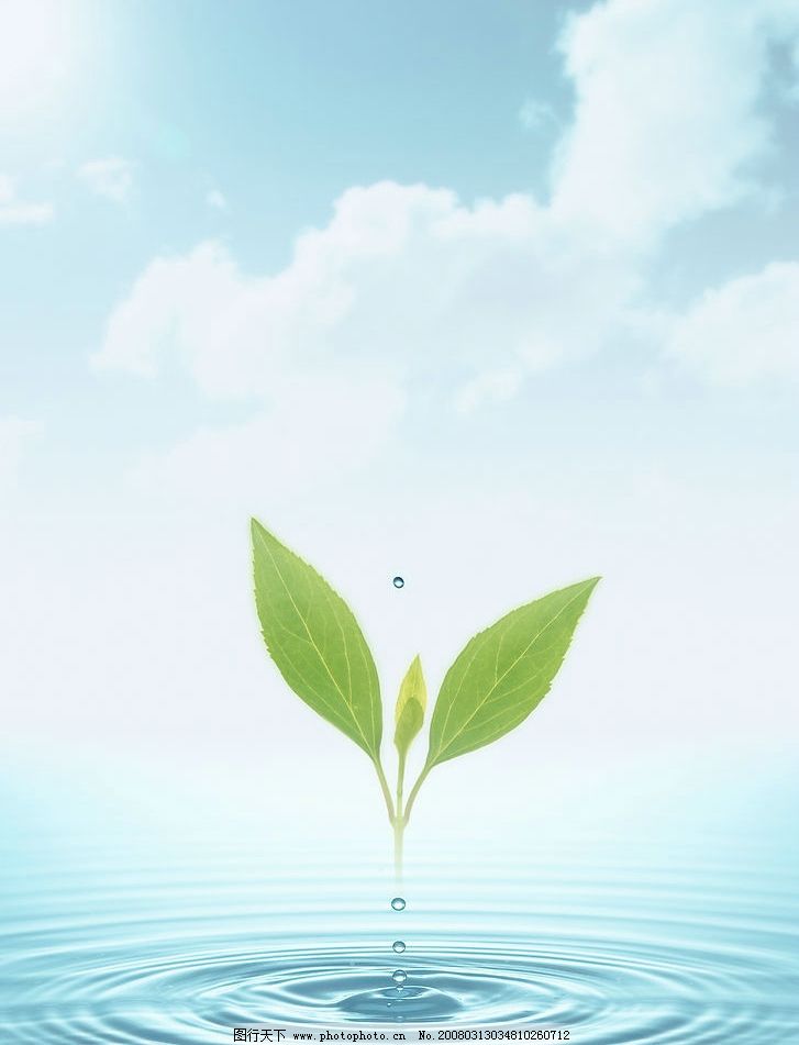 ppt 背景 壁纸 电脑桌面 发芽 绿色 绿色植物 绿叶 嫩芽 嫩叶 树叶图片