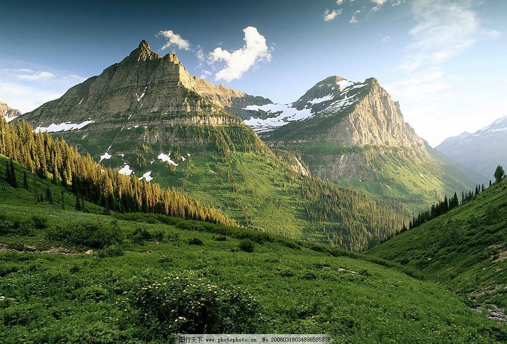 远山森林|远山森林,森林植被,自然风景
