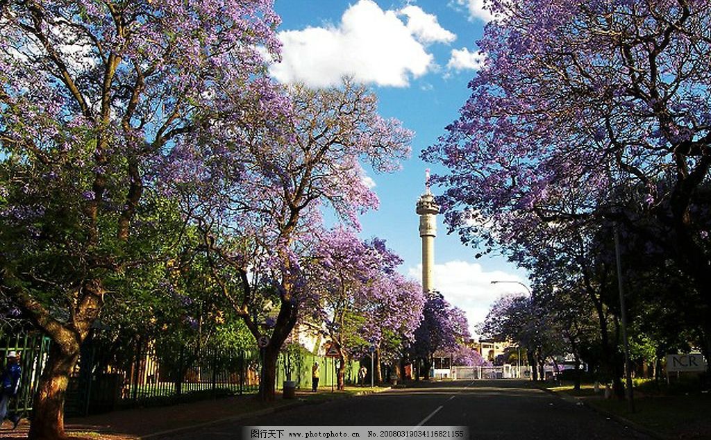 非洲颂歌小号简谱